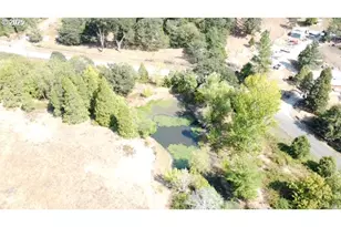 1604 Spring Brook Rd, Myrtle Creek, OR 97457 - Photo 42