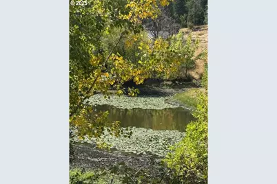 1604 Spring Brook Rd, Myrtle Creek, OR 97457 - Photo 4