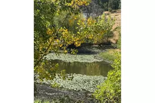 1604 Spring Brook Rd, Myrtle Creek, OR 97457 - Photo 4