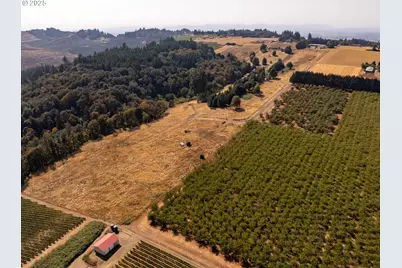 20 Franquette, Amity, OR 97101 - Photo 30