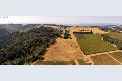 20 Franquette, Amity, OR 97101 - Photo 6