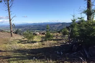 Oakdale Rd, Dallas, OR 97338 - Photo 1