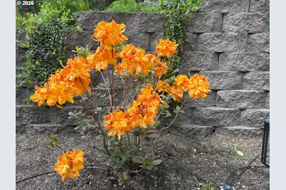 251 Mystery Dr, Amboy, WA 98601 - Photo 30