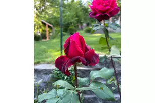 251 Mystery Dr, Amboy, WA 98601 - Photo 48