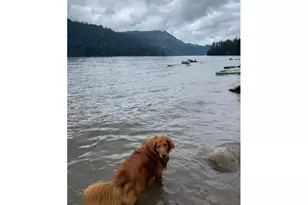 251 Mystery Dr, Amboy, WA 98601 - Photo 42