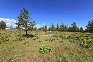 90 Harris Pl, Goldendale, WA 98620 - Photo 46