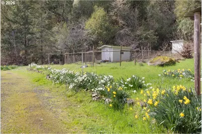 2277 Cougar Creek Rd, Oakland, OR 97462 - Photo 26