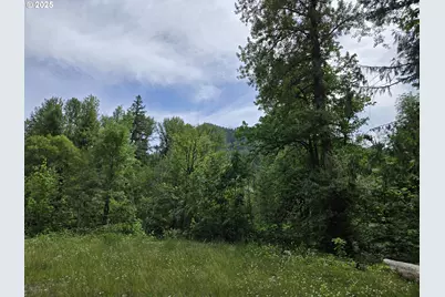 161 Cannavina Pvt Rd #4, Carson, WA 98610 - Photo 2