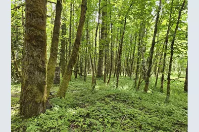 161 Cannavina Pvt Rd #4, Carson, WA 98610 - Photo 12