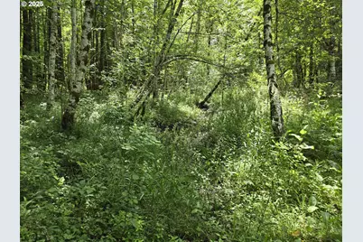 161 Cannavina Pvt Rd #4, Carson, WA 98610 - Photo 10