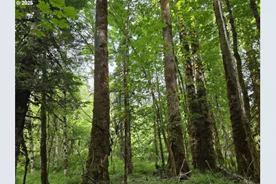 161 Cannavina Pvt Rd #4, Carson, WA 98610 - Photo 14