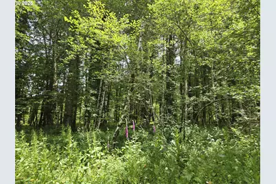 161 Cannavina Pvt Rd #4, Carson, WA 98610 - Photo 6