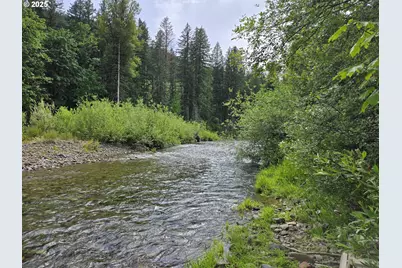 161 Cannavina Pvt Rd #4, Carson, WA 98610 - Photo 22