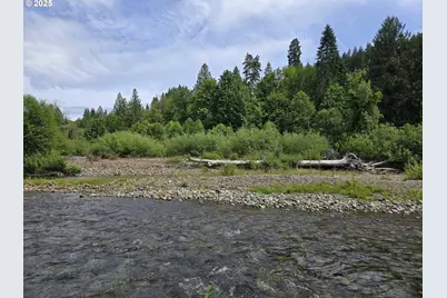 161 Cannavina Pvt Rd #4, Carson, WA 98610 - Photo 20