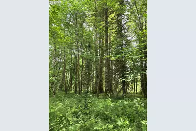 161 Cannavina Pvt Rd #4, Carson, WA 98610 - Photo 8