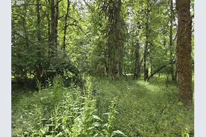 161 Cannavina Pvt Rd #4, Carson, WA 98610 - Photo 4