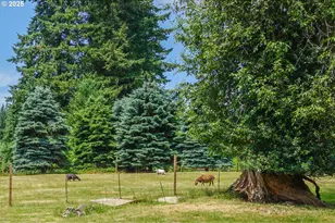 19910 NE 356th St, Yacolt, WA 98675 - Photo 24