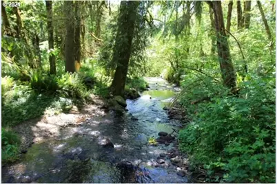 S Hult Rd, Beavercreek, OR 97004 - Photo 16