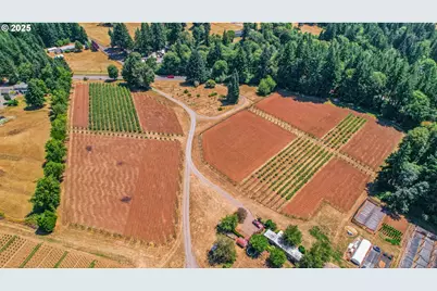 31909 SE Highway 211, Eagle Creek, OR 97022 - Photo 8