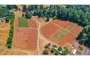 31909 SE Hwy 211, Eagle Creek, OR 97022 - Photo 8