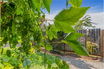 780 St Charles Place Rd, Hood River, OR 97031 - Photo 34