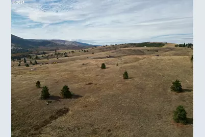 49 Restful Haven Dr, Lyle, WA 98635 - Photo 26