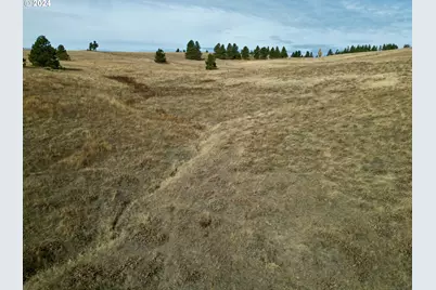 49 Restful Haven Dr, Lyle, WA 98635 - Photo 18