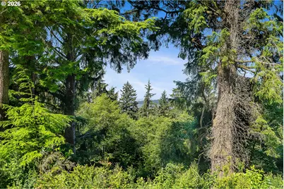 Nehalem Point Dr #TL 2000, Nehalem, OR 97131 - Photo 12