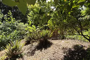 16107 W Hoffeldt Ln, Brookings, OR 97415 - Photo 32