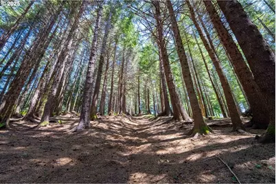 Bridgeview Dr, Brookings, OR 97415 - Photo 6