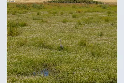 0 Duck Club Ct, Scappoose, OR 97056 - Photo 18