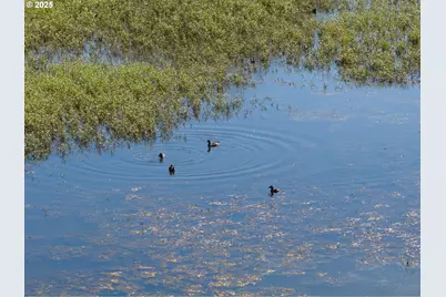 0 Duck Club Ct, Scappoose, OR 97056 - Photo 22