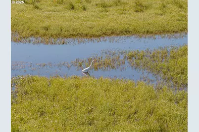 0 Duck Club Ct, Scappoose, OR 97056 - Photo 12
