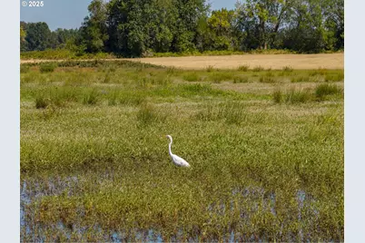 0 Duck Club Ct, Scappoose, OR 97056 - Photo 20
