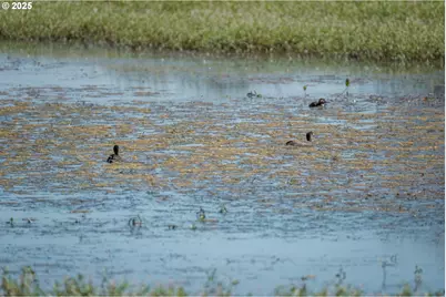 0 Duck Club Ct, Scappoose, OR 97056 - Photo 24
