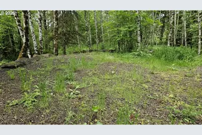 136 Peppermill Rd, Kelso, WA 98626 - Photo 1