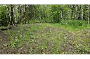 136 Peppermill Rd, Kelso, WA 98626 - Photo 1