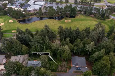 9 Big Tree Rd, Lincoln Beach, OR 97388 - Photo 4