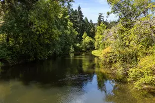 4215 Mt Reuben Rd, Glendale, OR 97442 - Photo 6