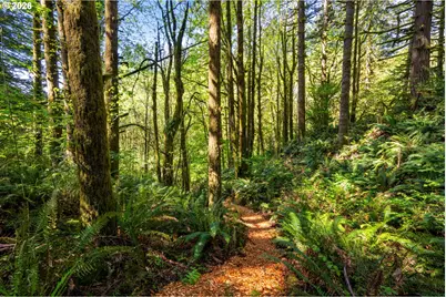 2836 Lewis River Rd, Woodland, WA 98674 - Photo 30