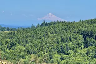 11896 SW Dupee Valley Rd, McMinnville, OR 97128 - Photo 1