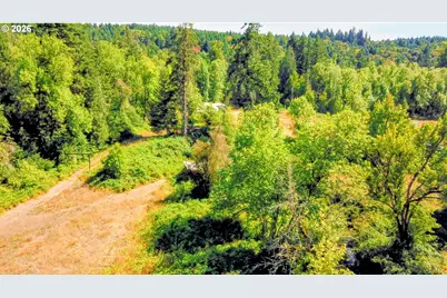 15462 S Buckner Creek Rd, Mulino, OR 97042 - Photo 10