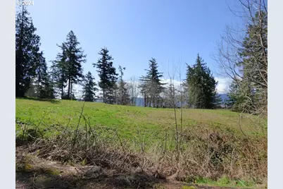 0000 Riverview East- 6441 Rd, Cathlamet, WA 98612 - Photo 8