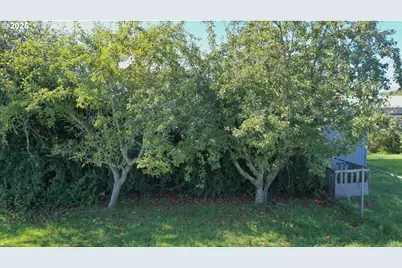 533 Art St, Brookings, OR 97415 - Photo 8