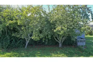 533 Art St, Brookings, OR 97415 - Photo 8