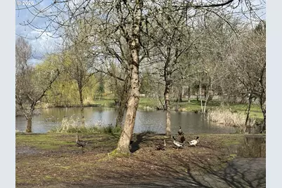 808 NW 14th Ave, Battle Ground, WA 98604 - Photo 30