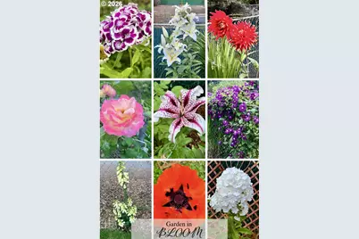 11821 SE Yamhill St, Portland, OR 97216 - Photo 26