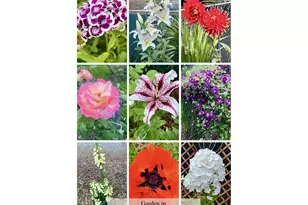 11821 SE Yamhill St, Portland, OR 97216 - Photo 26