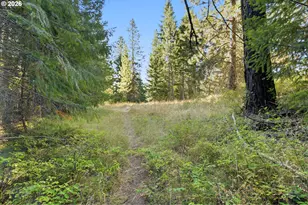 2 Westside Rd, Trout Lake, WA 98650 - Photo 38