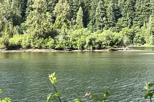 34376 State Hwy 38, Scottsburg, OR 97473 - Photo 42